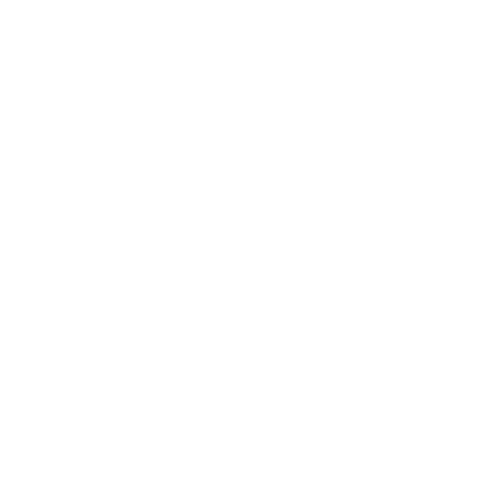 MadBulls